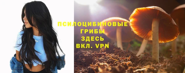 стаф Сатка