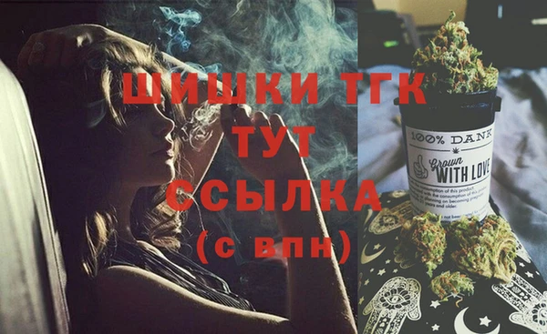 стаф Сатка