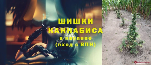 стаф Сатка