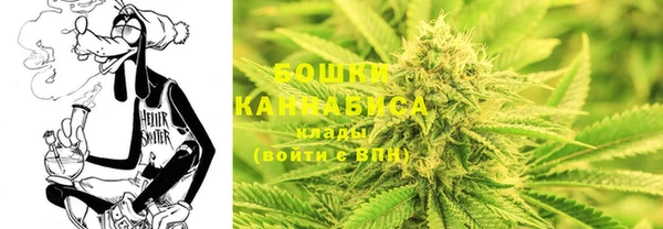 стаф Сатка