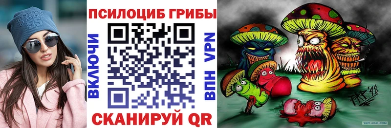 Псилоцибиновые грибы Magic Shrooms  даркнет сайт  МЕГА   Норильск 
