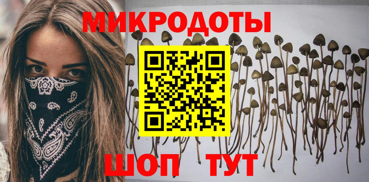 Норильск  Псилоцибиновые грибы мицелий  Псилоцибиновые грибы прущие грибы  что такое наркотик  Вход с VPN 